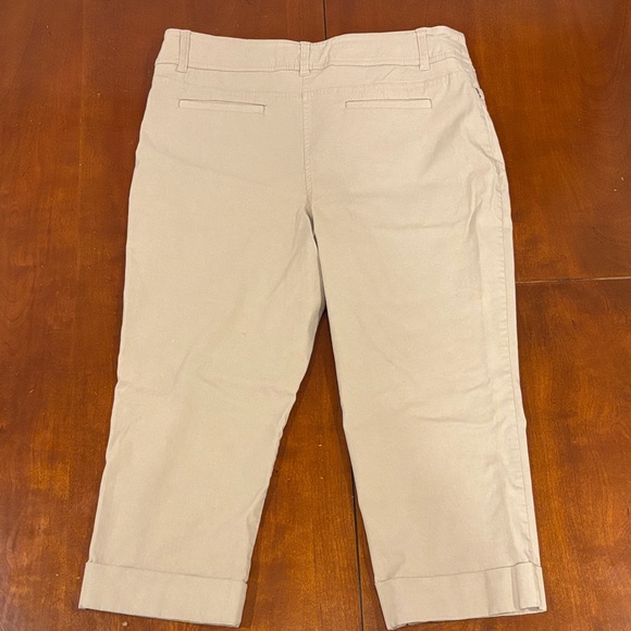 Style & Co. Navy and Khaki Curvy Capri Pants - Picture 6 of 8